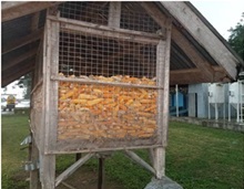 Improved Ventilated Crib